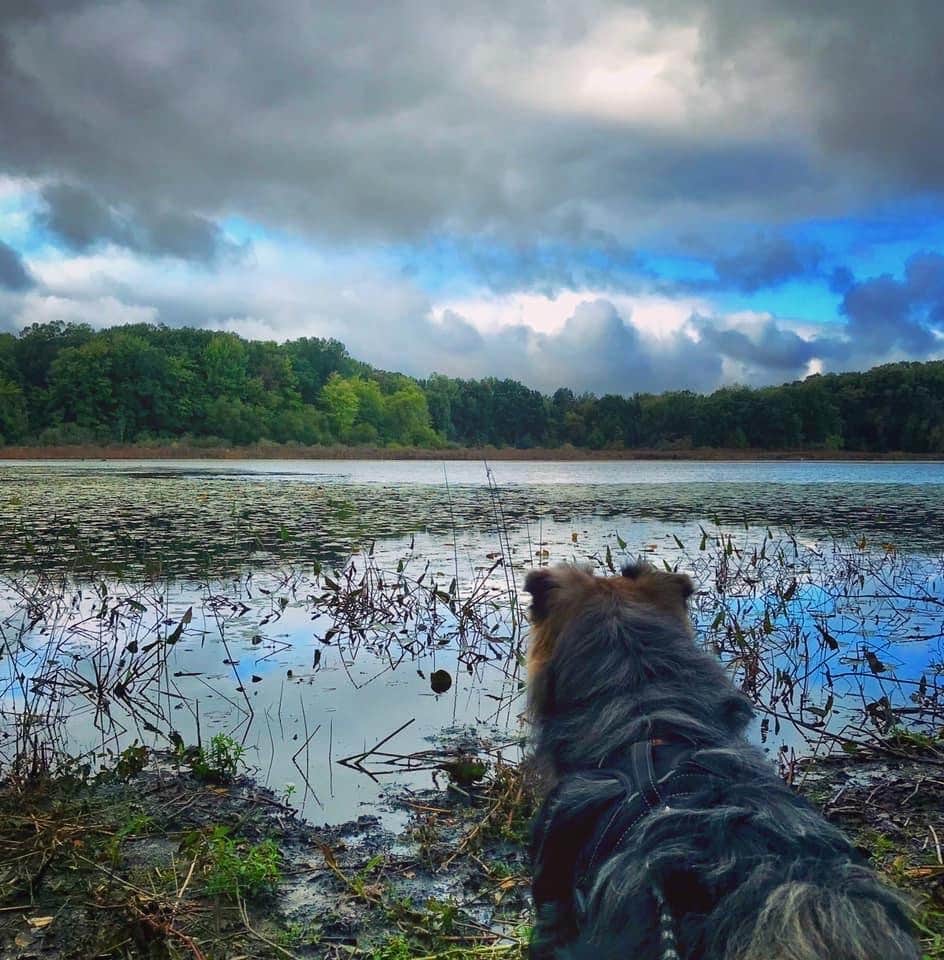 Camper-submitted photo at Green Lake Rustic Campground — Waterloo Recreation Area near New Hudson, MI