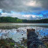 Review photo of Green Lake Rustic Campground — Waterloo Recreation Area by Jillian E., June 14, 2020