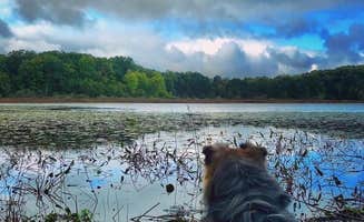 Jillian E.'s photo of camping with pets at Green Lake Rustic Campground — Waterloo Recreation Area near Okemos, MI