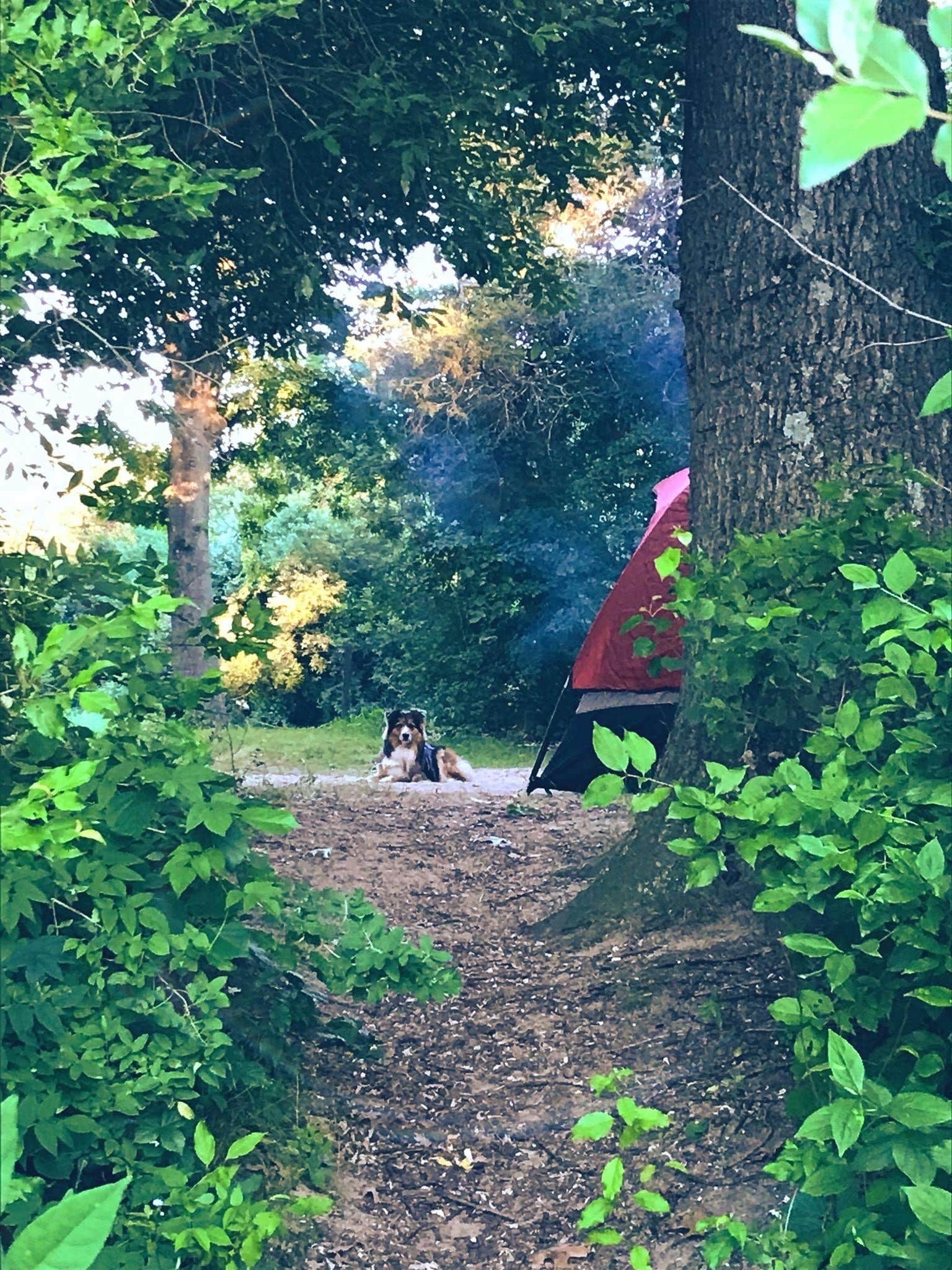 Jillian E.'s photo at Green Lake Rustic Campground — Waterloo Recreation Area near Pinckney, MI