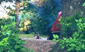 Jillian E.'s photo at Green Lake Rustic Campground — Waterloo Recreation Area near Gregory, MI