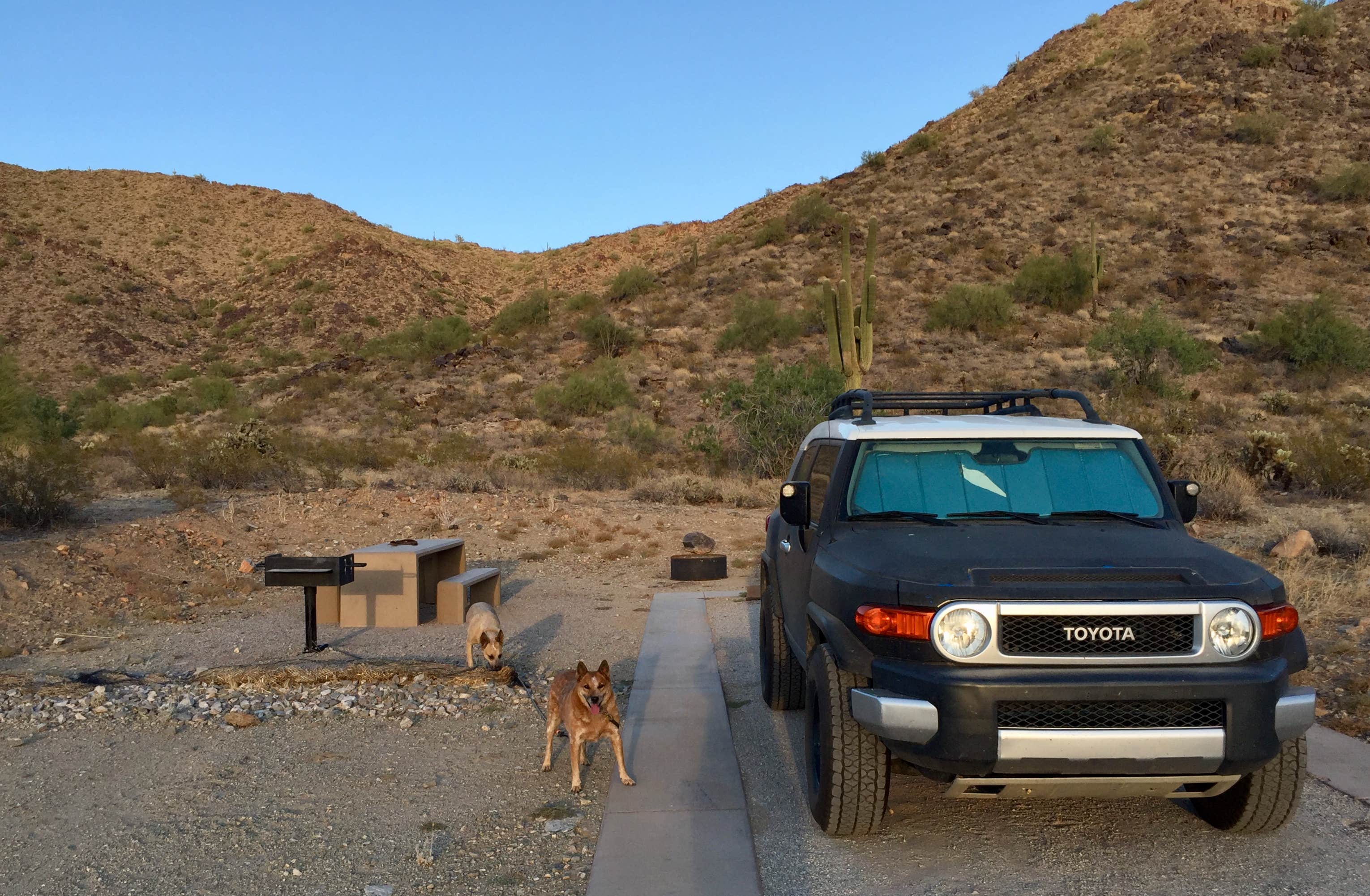 Camper-submitted photo at Skyline Regional Park near Glendale, AZ