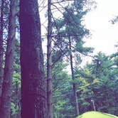 Review photo of Findley State Park Campground by Jillian E., June 14, 2020