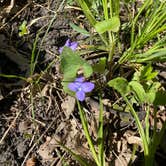 Review photo of Monson Lake State Park Campground by Stephanie B., June 14, 2020