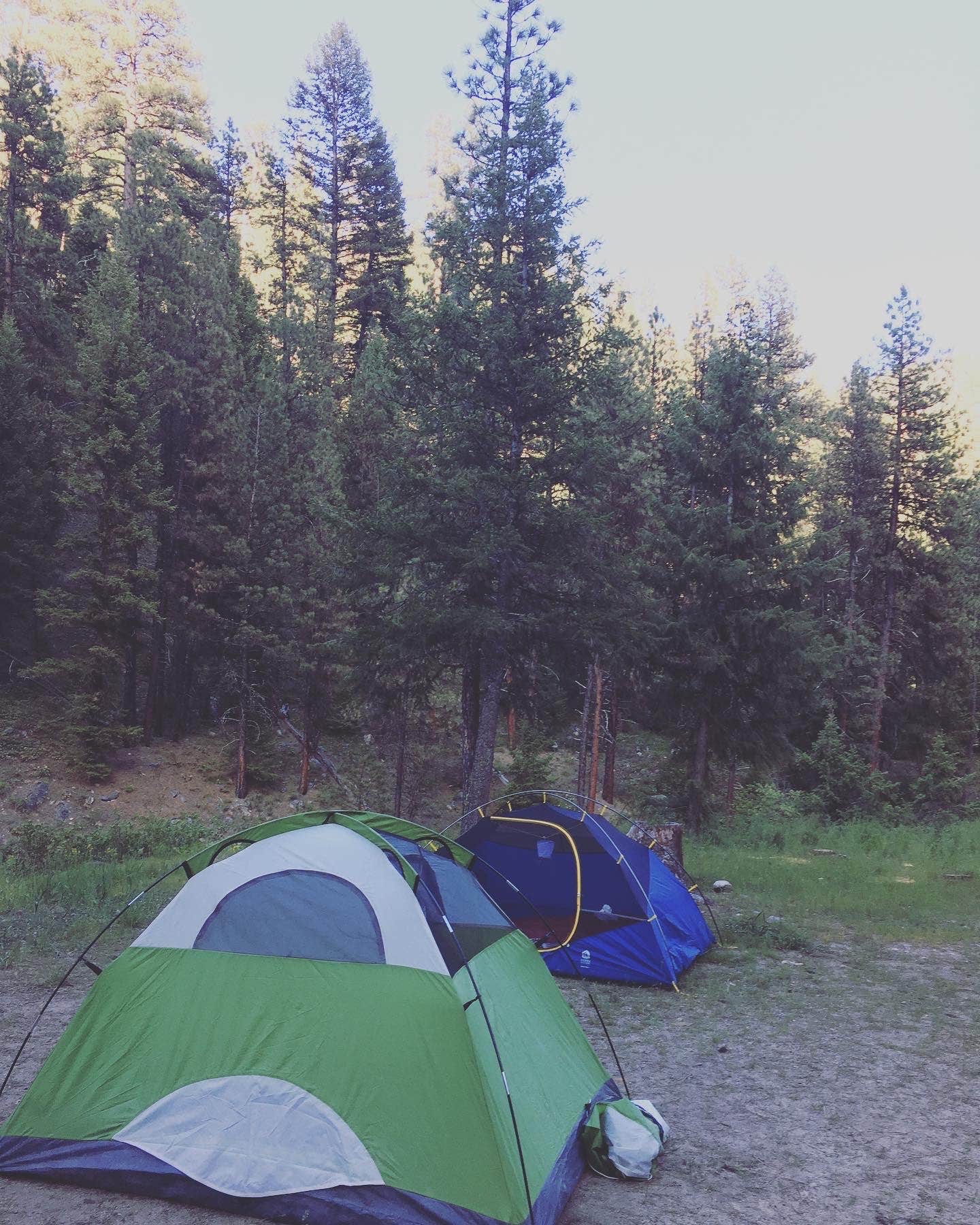 Camper submitted image from Bonneville - 4