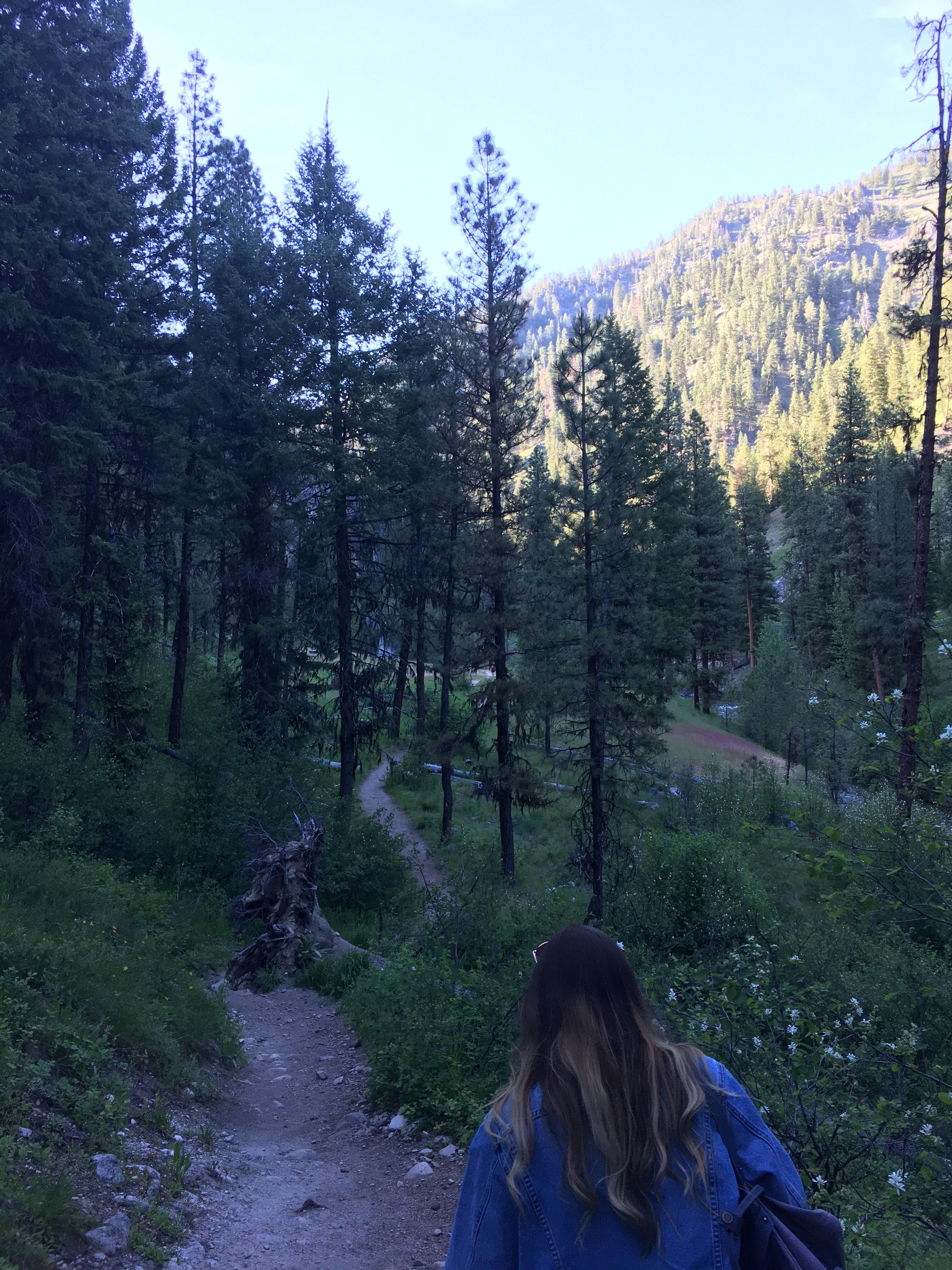 Trail to hotsprings