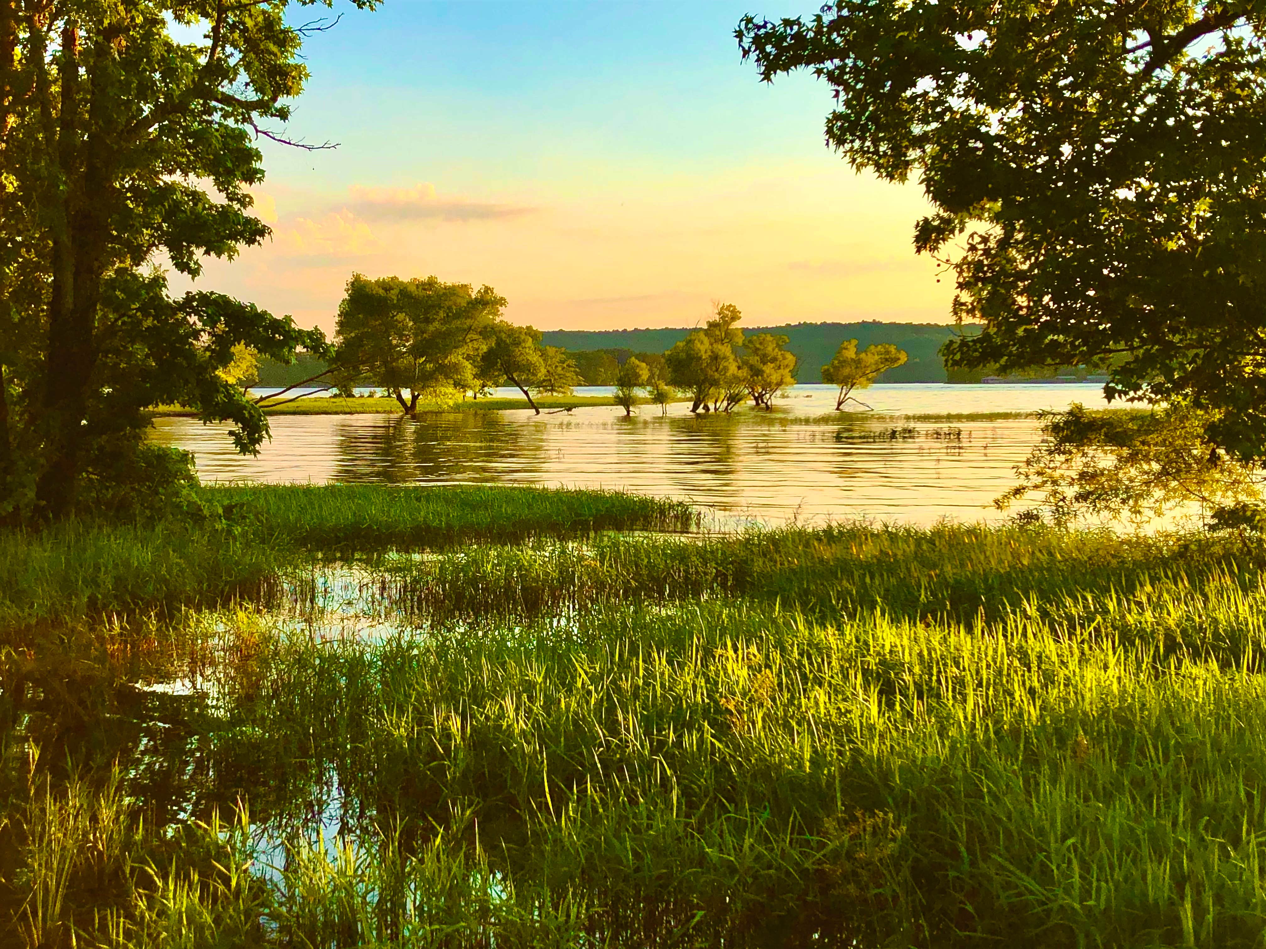 Camper-submitted photo at Smith Lake Park near Arley, AL