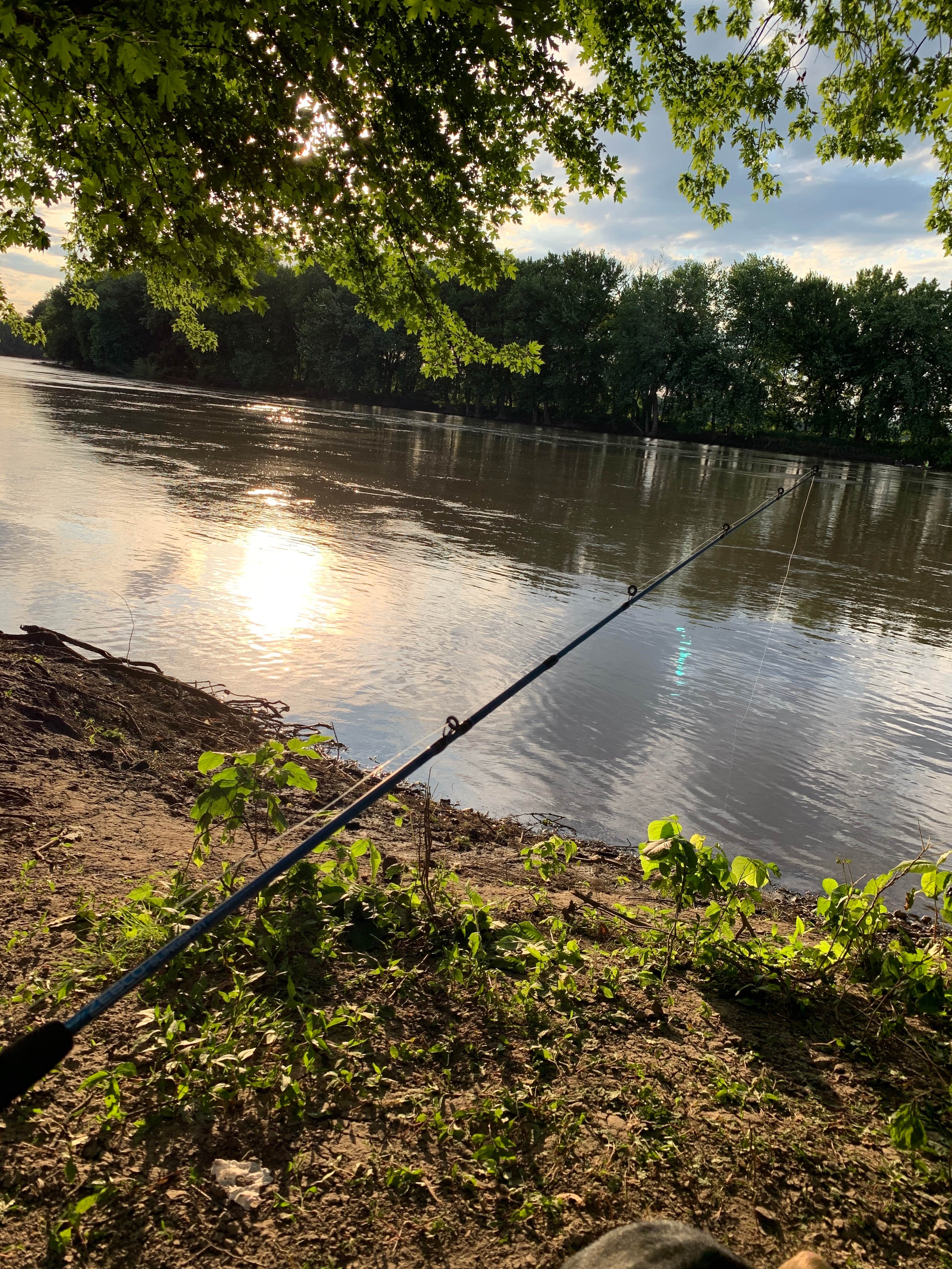 Camper submitted image from Prophetstown State Park Campground - 5