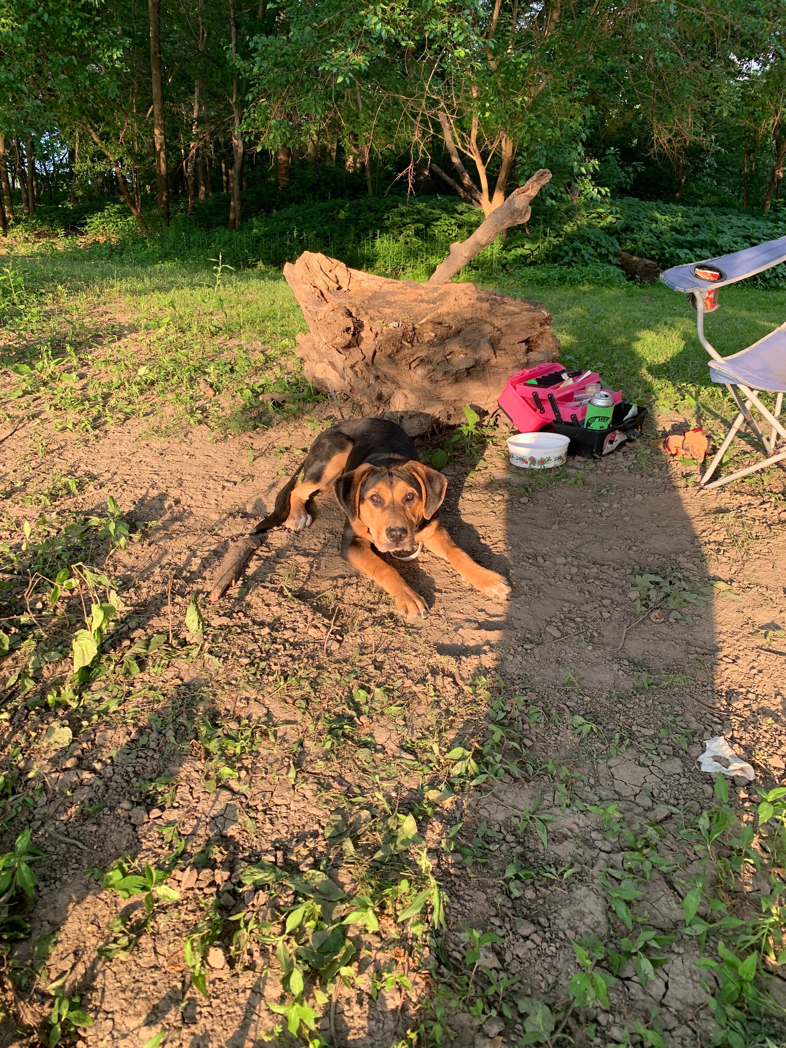 Camper-submitted photo at Prophetstown State Park Campground near Rock Falls, IL