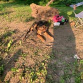 Review photo of Prophetstown State Park Campground by Amanda P., June 14, 2020