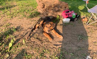 Amanda P.'s photo of camping with pets at Prophetstown State Park Campground near Morrison, IL