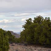 Review photo of Cathedral Valley Campground — Capitol Reef National Park by Pat S., June 14, 2020