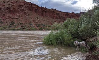 Zoi A.'s photo of camping with pets at Big Bend Campground near Arches National Park