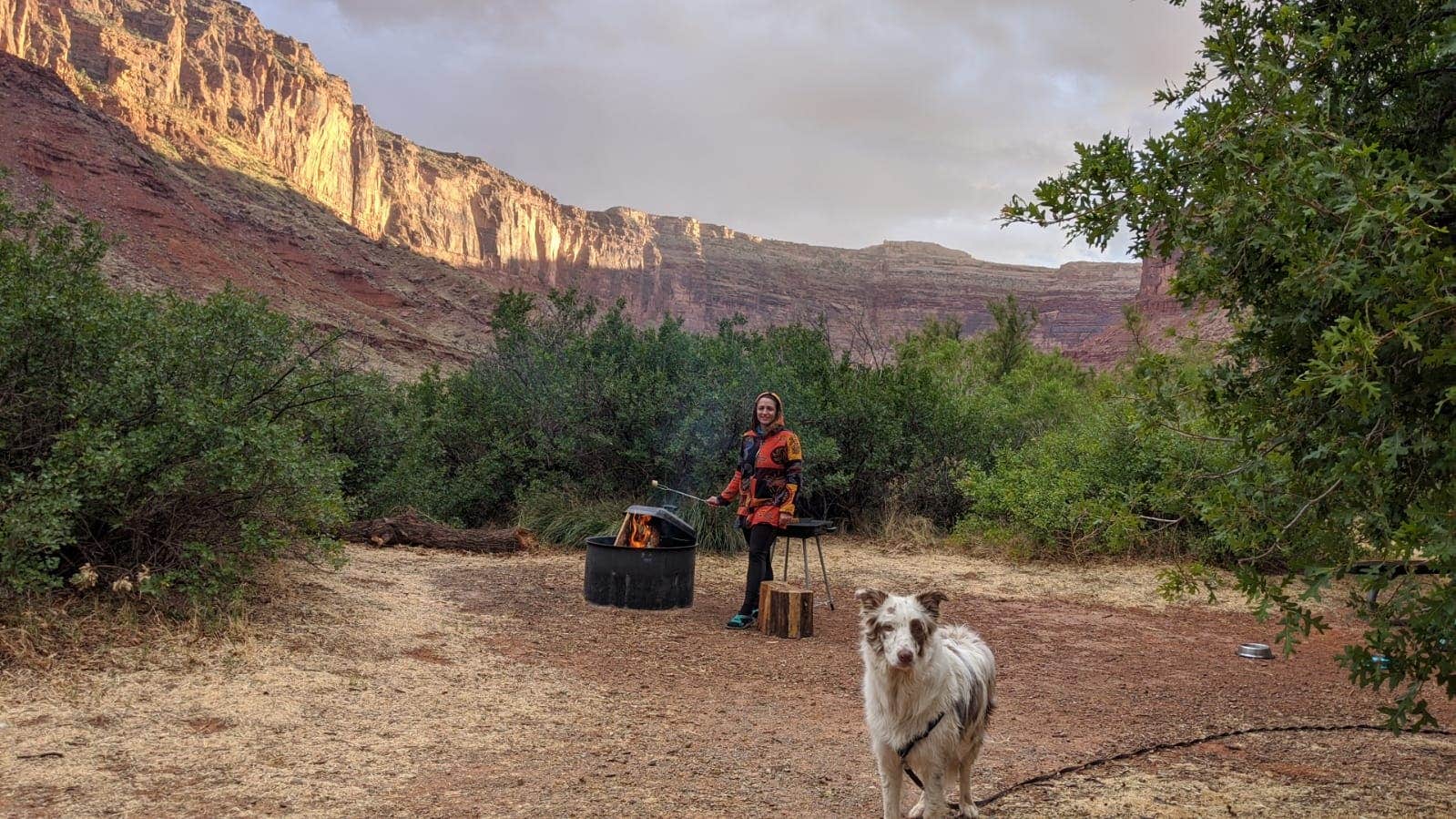 Zoi A.'s photo of camping with pets at Big Bend Campground near Moab, UT