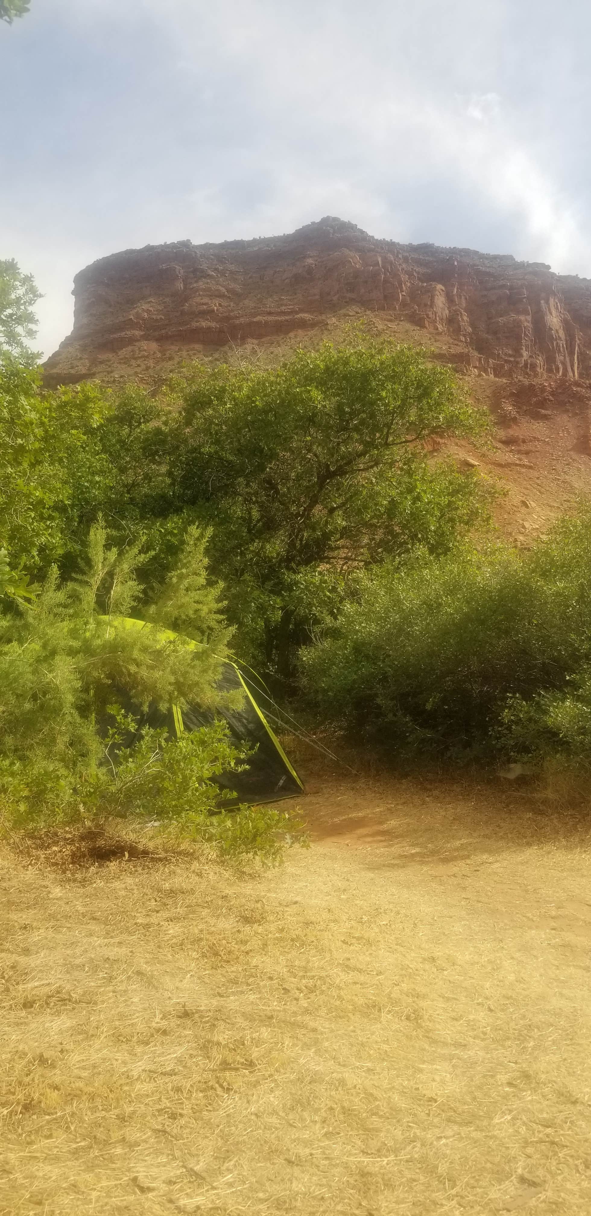 Camper-submitted photo at Big Bend Campground near Castle Valley, UT