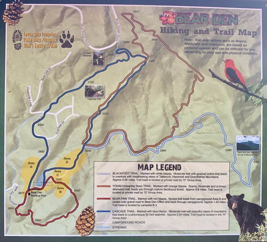 Anjanel P.'s photo of camping with pets at Spacious Skies Bear Den in North Carolina