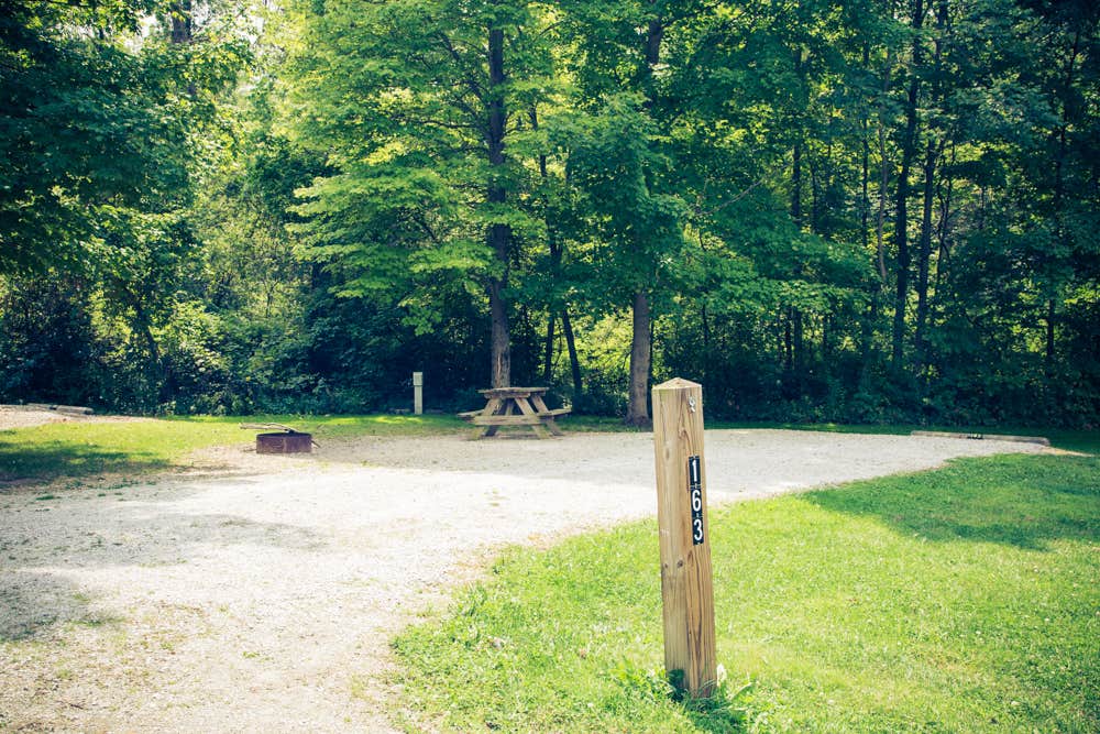 Camper submitted image from Potato Creek State Park Campground - 4