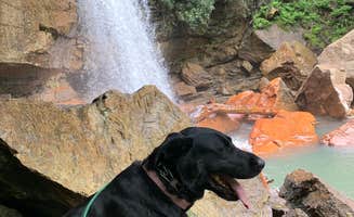 Kerrie K.'s photo of camping with pets at Five River Campground near Fairmont, WV