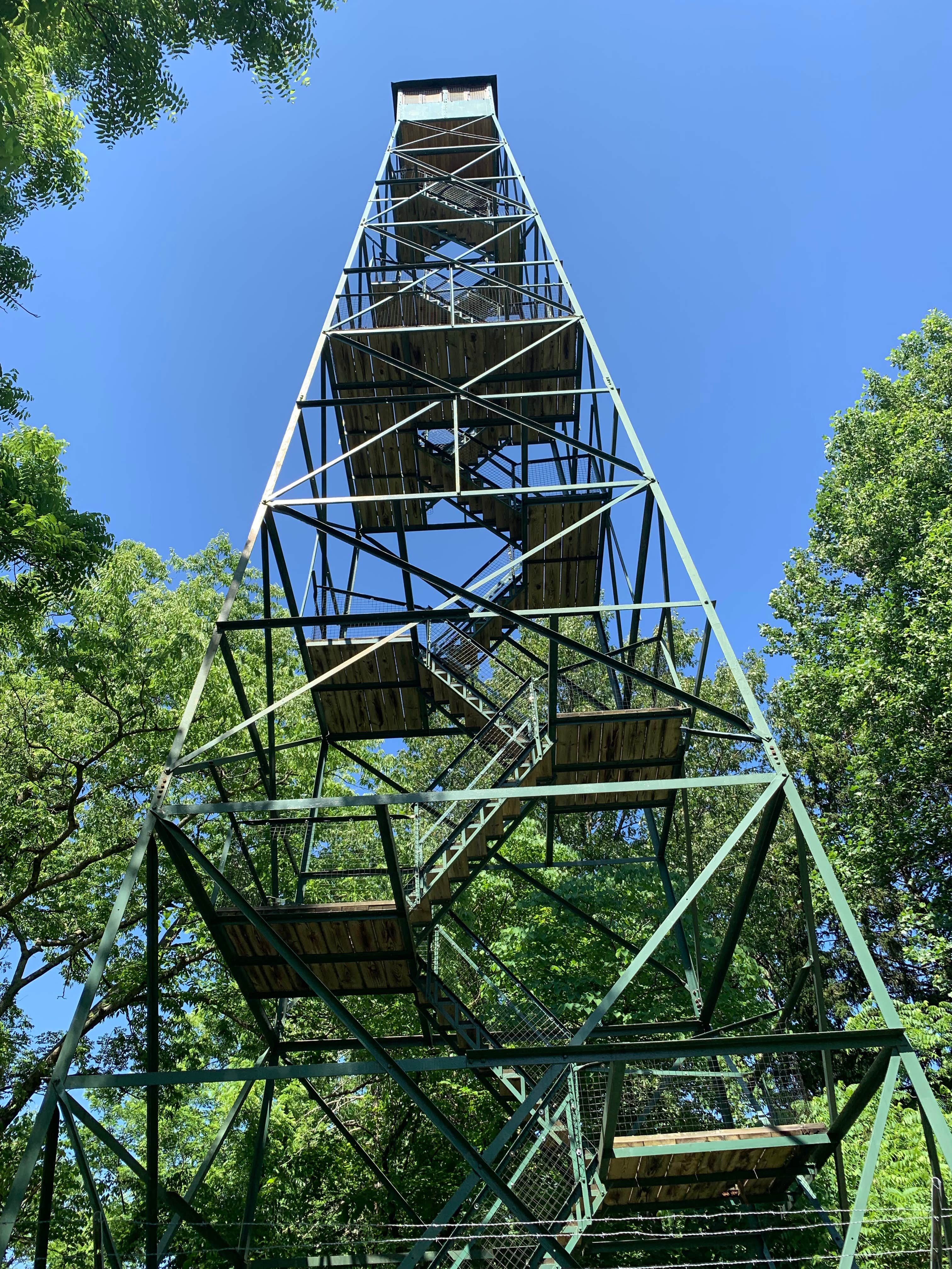 Camper submitted image from Oak Ridge Morgan-Monroe State Forest - 4