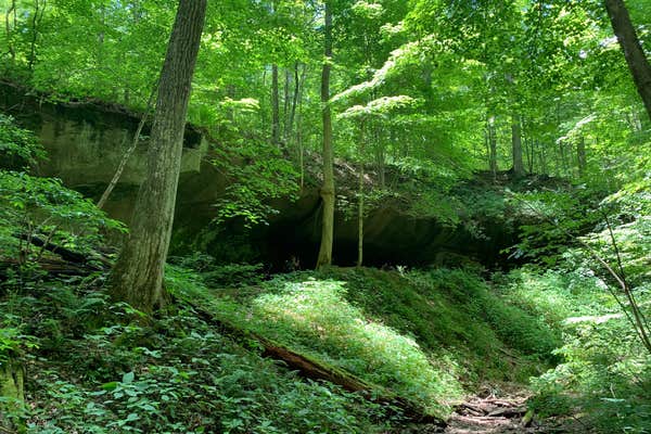 Morgan Ridge Indiana Oak Ridge Camping Area — Morgan-Monroe State Forest | Martinsville, Indiana