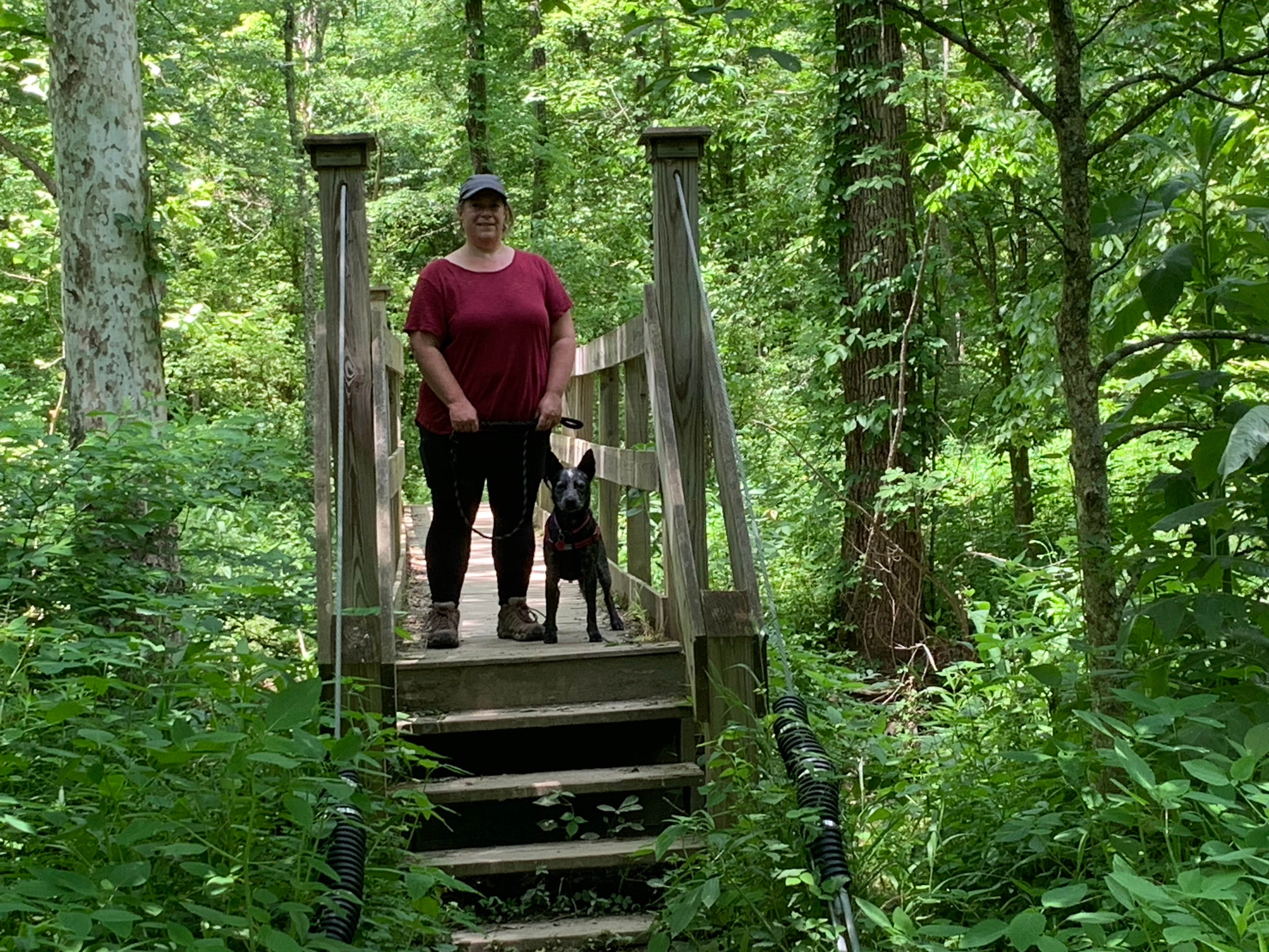 Ron H.'s photo of camping with pets at Oak Ridge Camping Area — Morgan-Monroe State Forest near Bloomington, IN