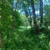 Review photo of Yellowstone Lake State Park Campground by Whitney B., June 14, 2020