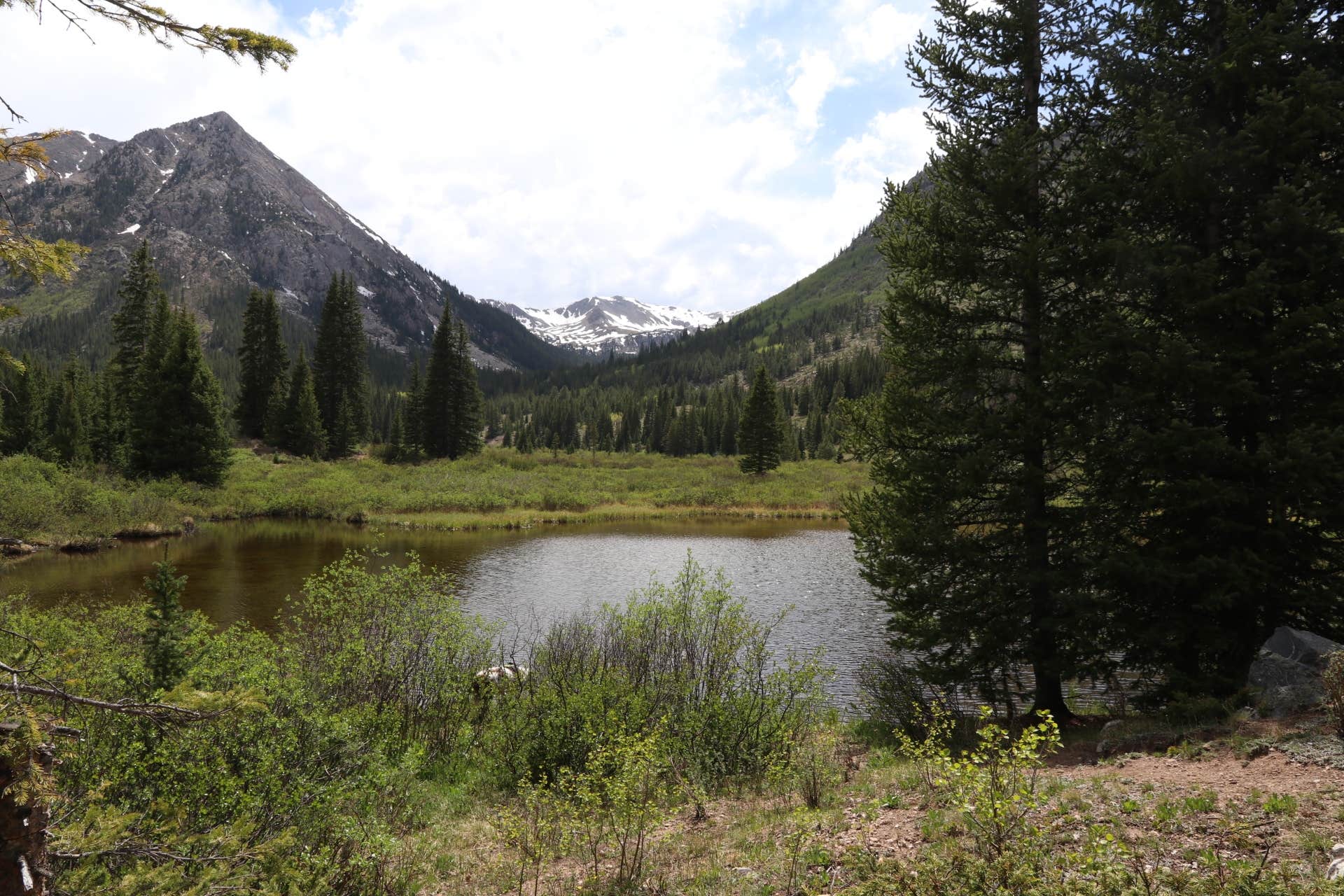 Camper-submitted photo at Winfield Camping Area near Granite, CO