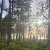 Review photo of Cape Lookout State Park Campground by Blaine B., June 14, 2020