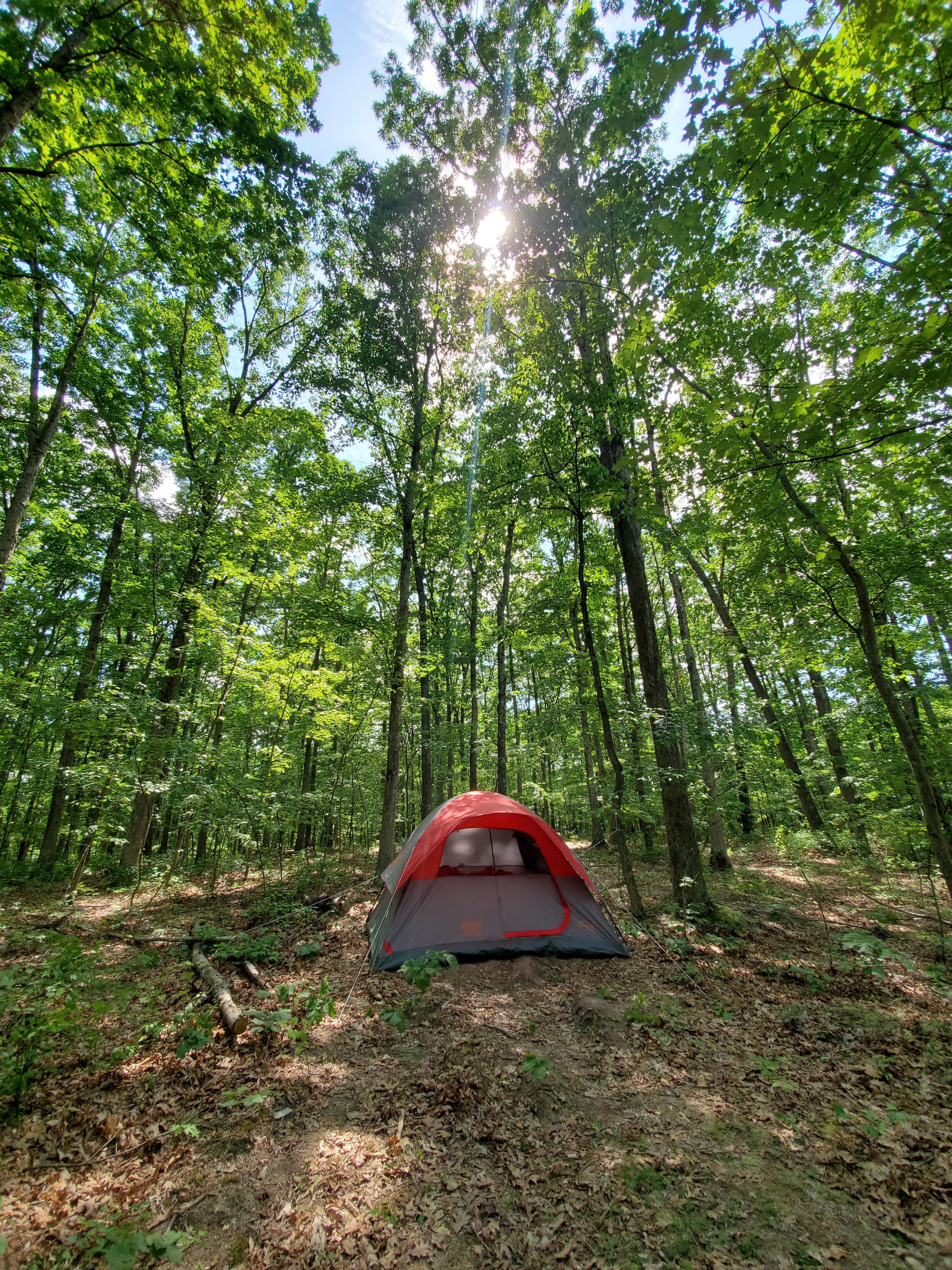 Camper submitted image from Green Ridge State Forest - 3