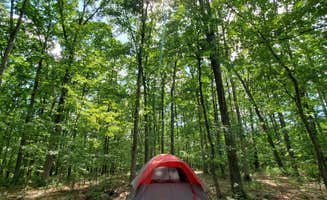 Nancy N.'s photo at Green Ridge State Forest near Cumberland, MD