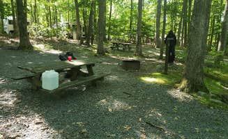 Erik M.'s photo at Wilsonville Rec Area near Beach Lake, PA