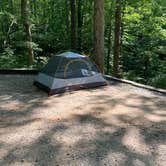 Review photo of Chickasaw State Park Campground by Rachael H., June 14, 2020