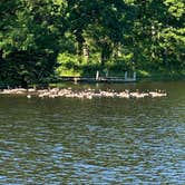 Review photo of Chickasaw State Park Campground by Rachael H., June 14, 2020