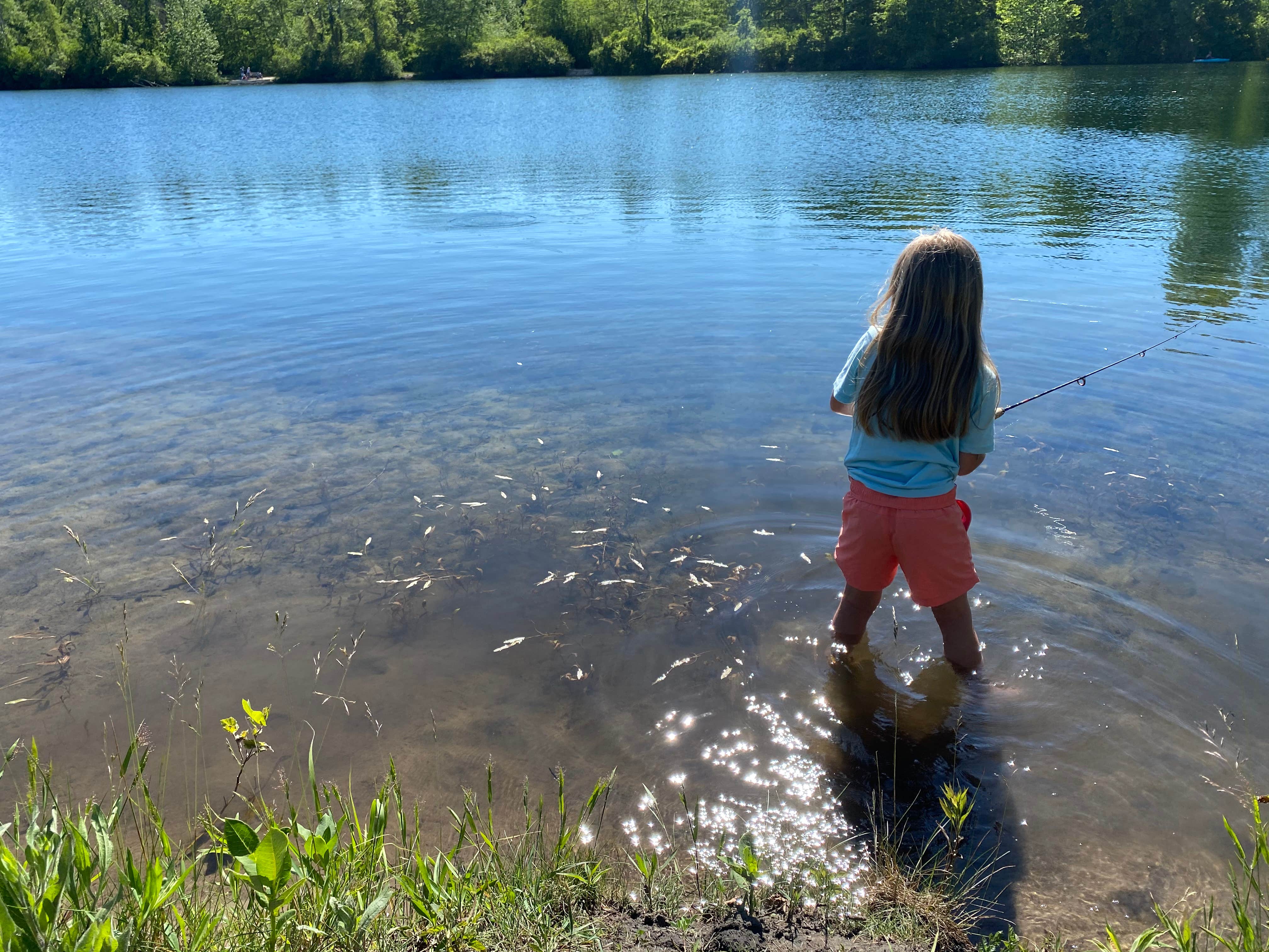 Camper-submitted photo at Wiregrass Lake Metropark near Clyde, OH