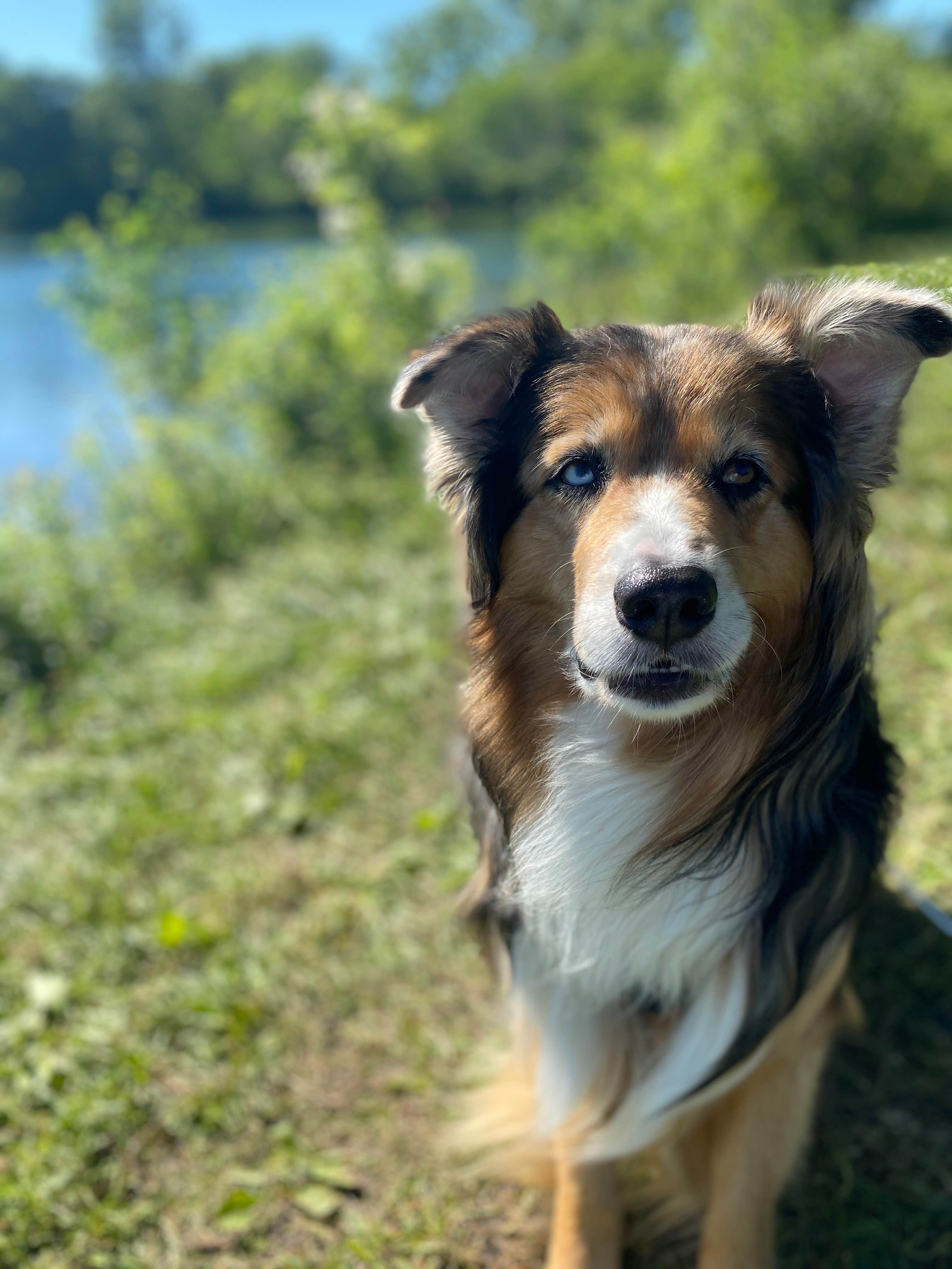 Camping near Mary Jane Thurston State Park Campground: Wiregrass Lake Metropark, Holland, Ohio