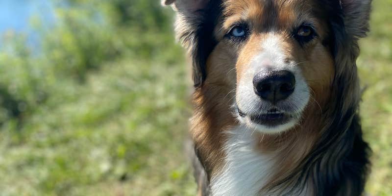 Camper submitted image from Wiregrass Lake Metropark