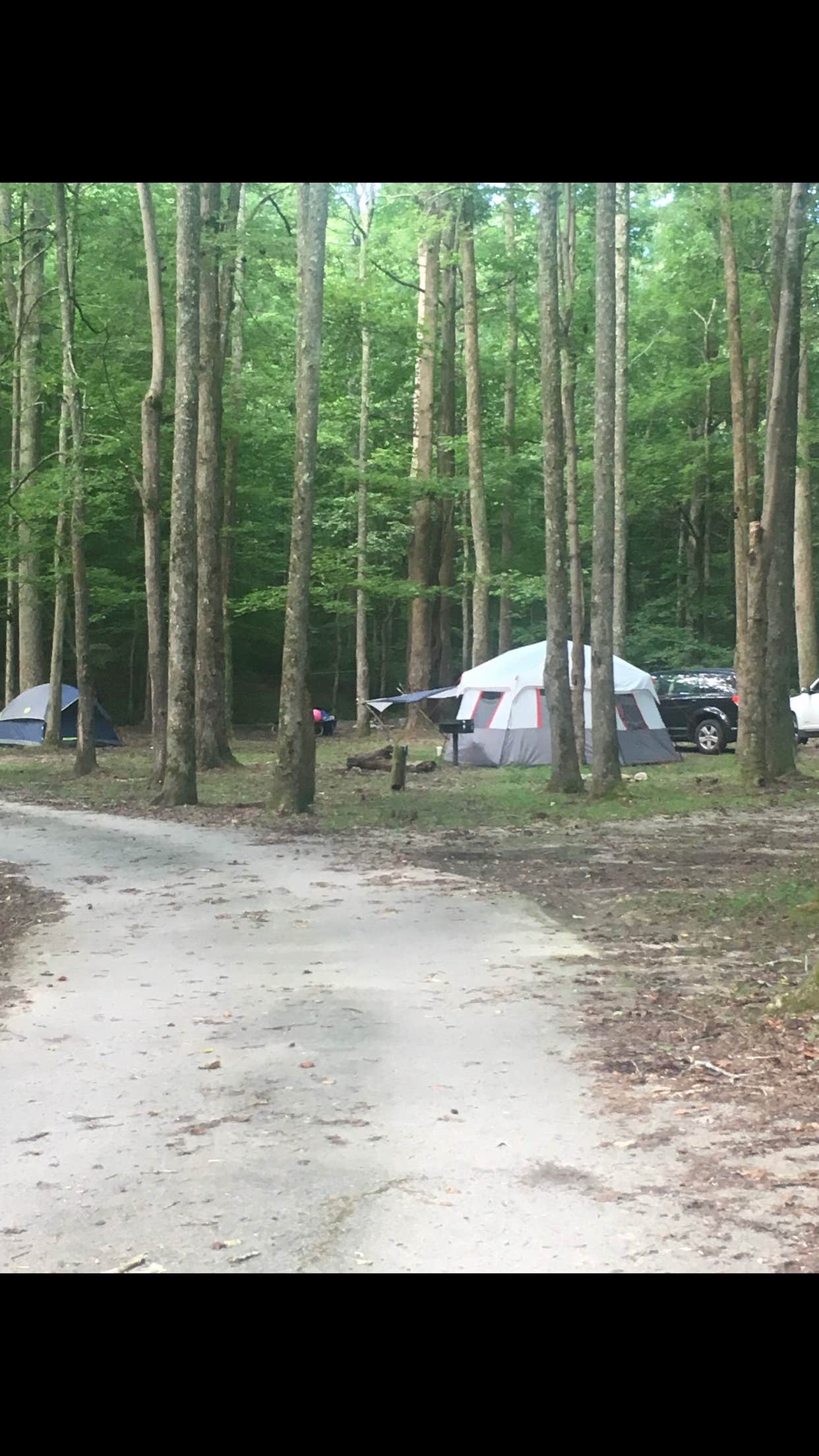 Ashley R.'s photo at Pin Oak Campground — Natchez Trace State Park near Pinson, TN