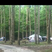 Pin Oak Campground Natchez Trace State Park Wildersville TN