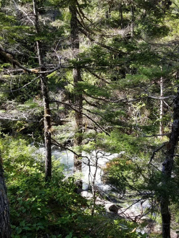 Nature