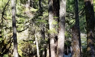 Camping near Forlorn Lakes: Summit Creek, Gifford Pinchot National Forest, Washington