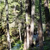Review photo of Summit Creek by Eric H., June 15, 2020