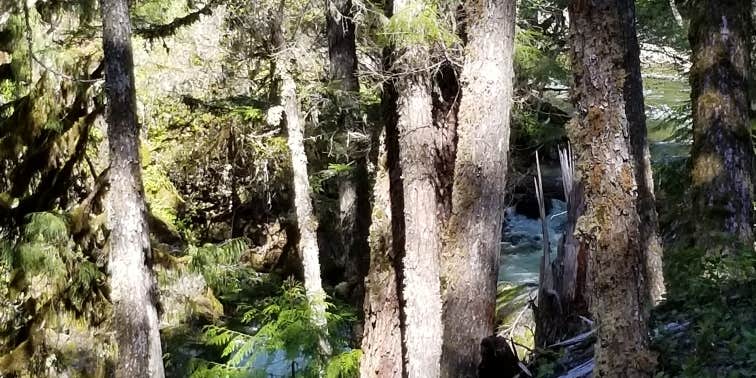 Camper submitted image from Summit Creek