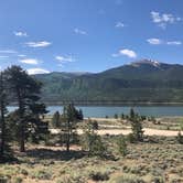 Review photo of White Star by Kelsey C., June 15, 2020