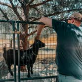 Review photo of Bierbaum Pepper Farm - Temporarily Closed by Jasmine Z., June 15, 2020