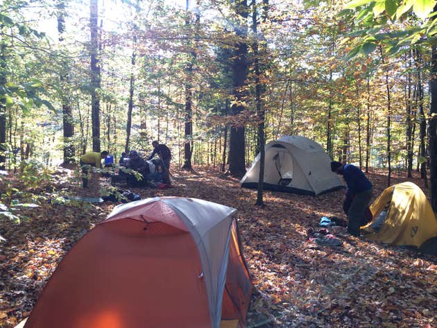 Little River State Park Camping 