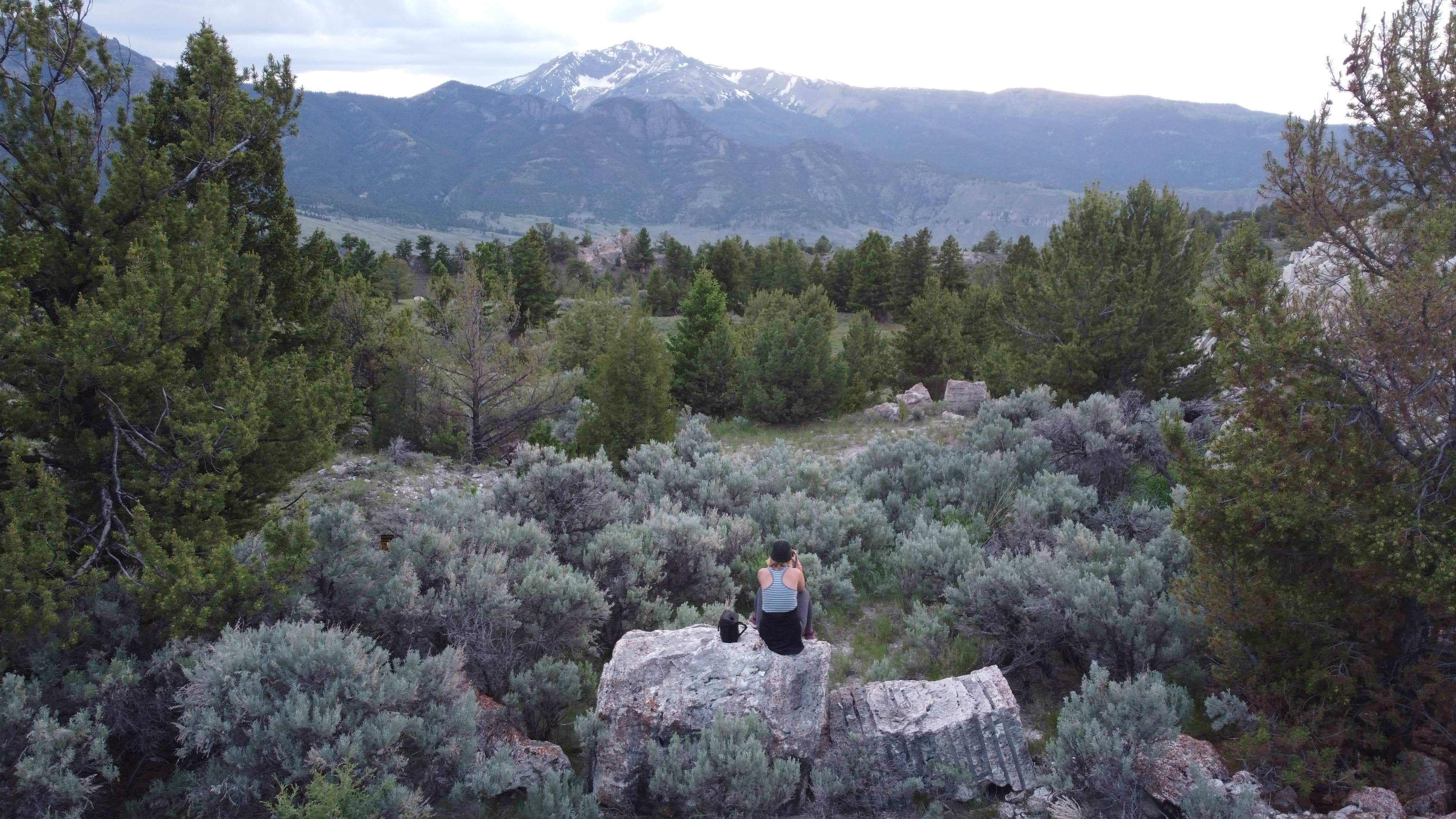 Camper submitted image from Travertine Road Dispersed - Yellowstone - 5