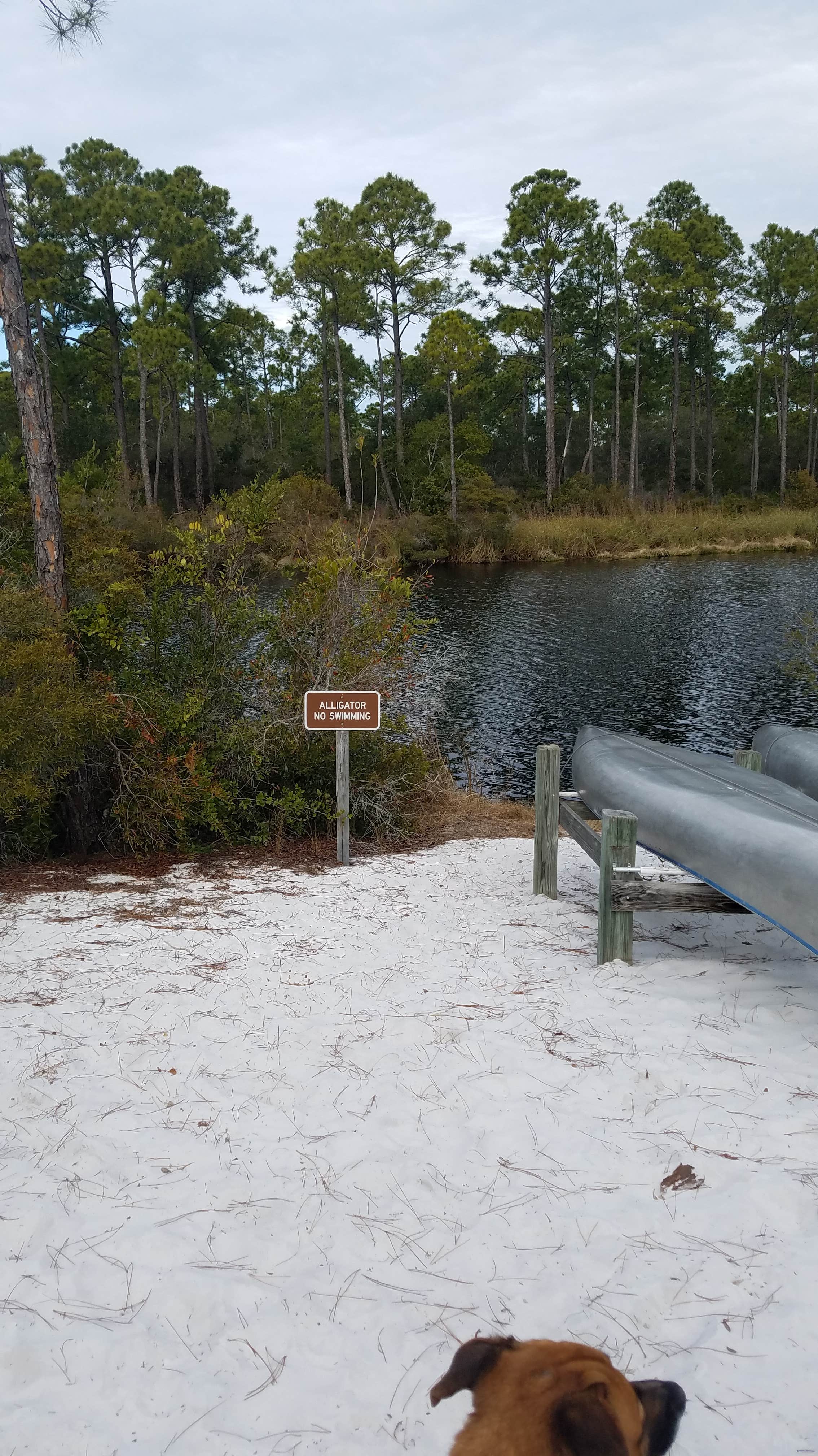 Paul G.'s photo of camping with pets at Big Lagoon State Park Campground near Magnolia Springs, AL
