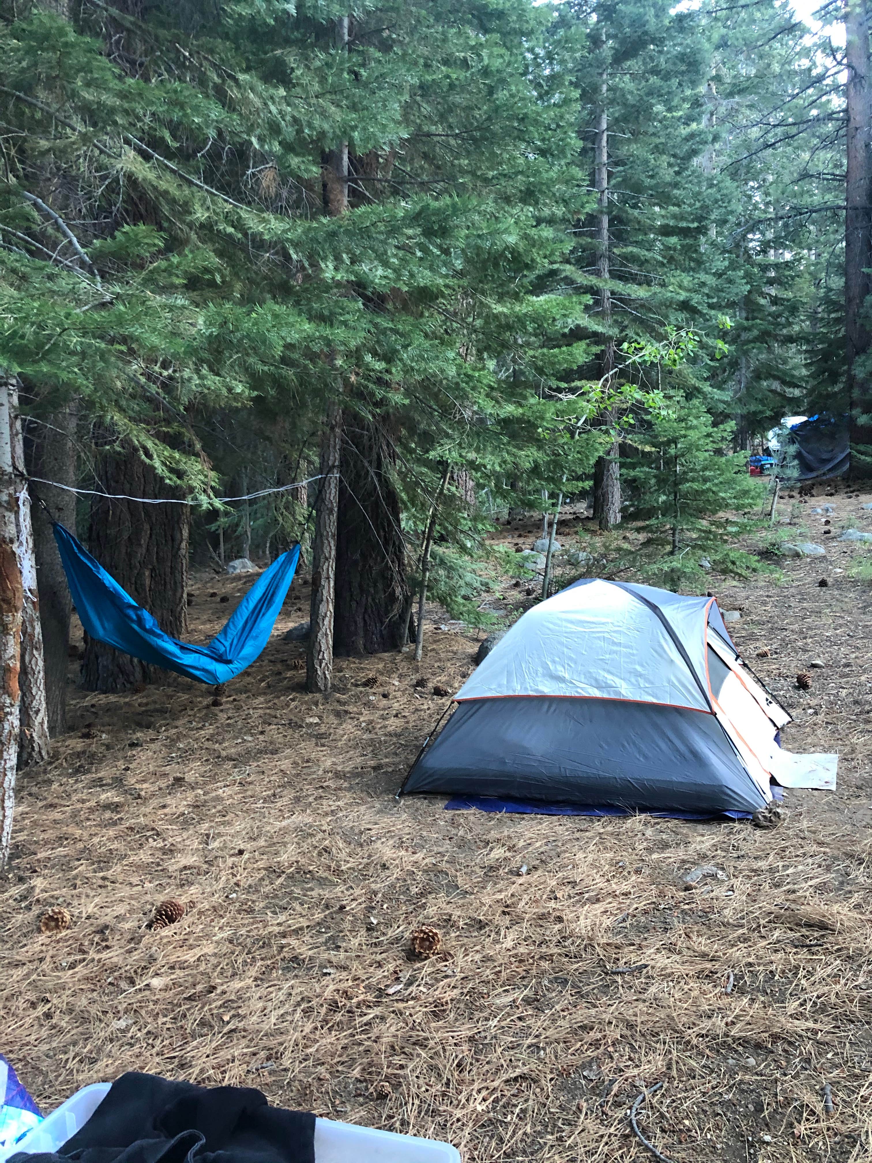 Cassidy Y.'s photo at Buckeye Campground near Hawthorne, NV