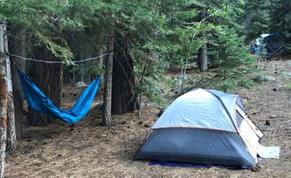 Cassidy Y.'s photo at Buckeye Campground near Hawthorne, NV