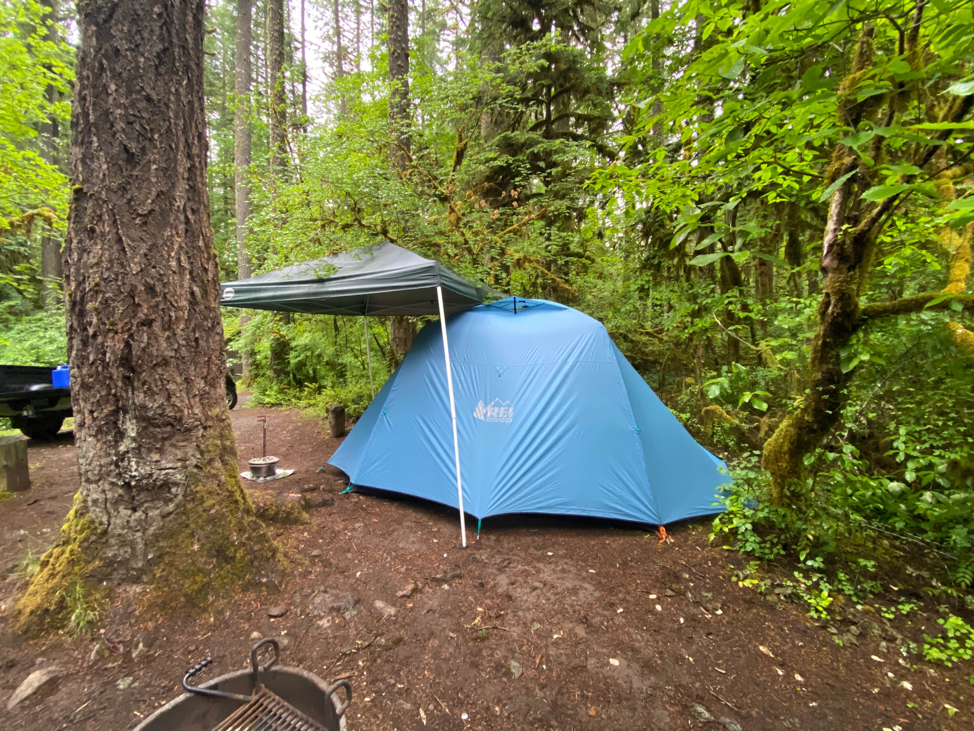 Camper submitted image from Trout Creek Campground - 5